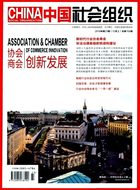 中国社会组织封面
